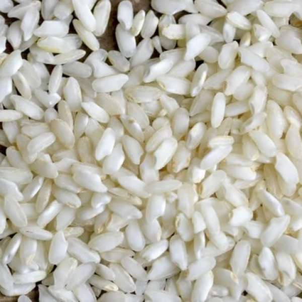 Arroz Carnaroli 25 KG