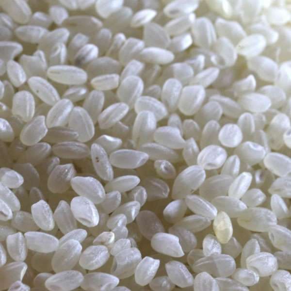 Arroz Redondo branco 25 kg