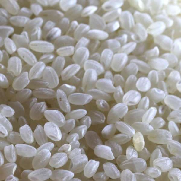 Arroz Redondo Branco 1 kg