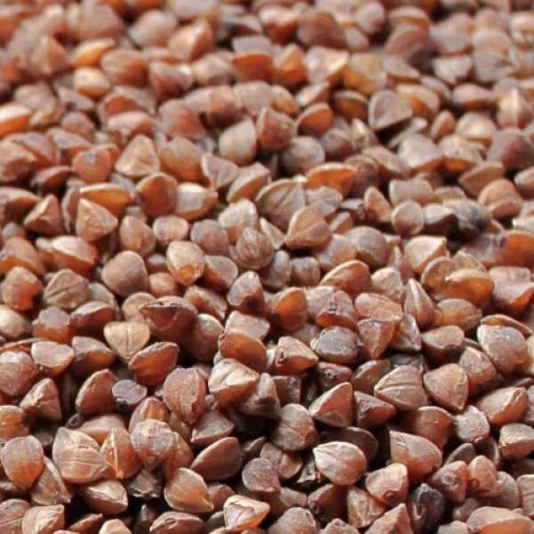 Grão Trigo Sarraceno, 1 kg