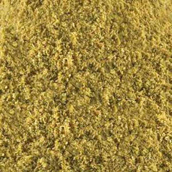 Coentro em pó 1 kg